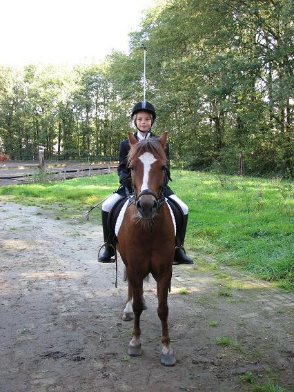 Dressuur