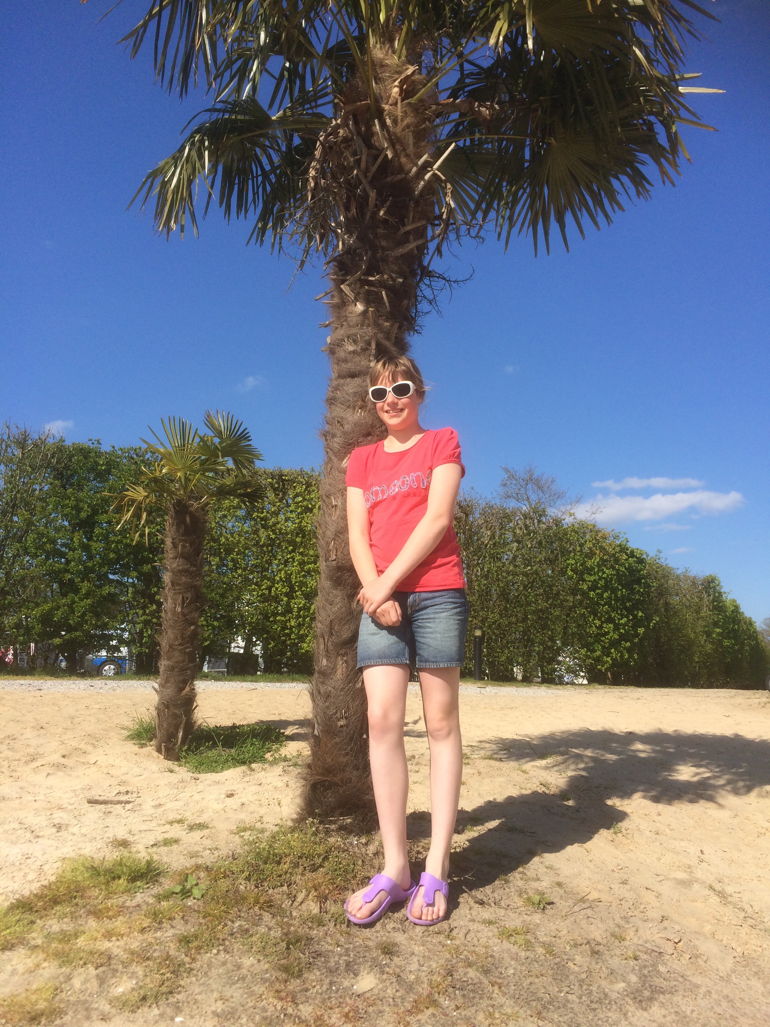 Bij de palmbomen