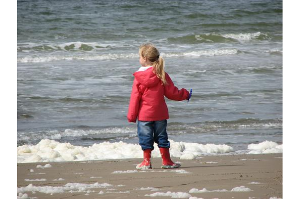 Strand Westenschouwe
